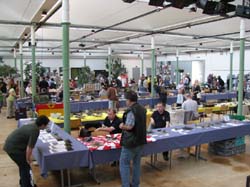 Faellanden_007