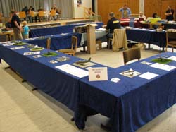 KMT2009_104