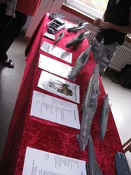 KMT2010_161